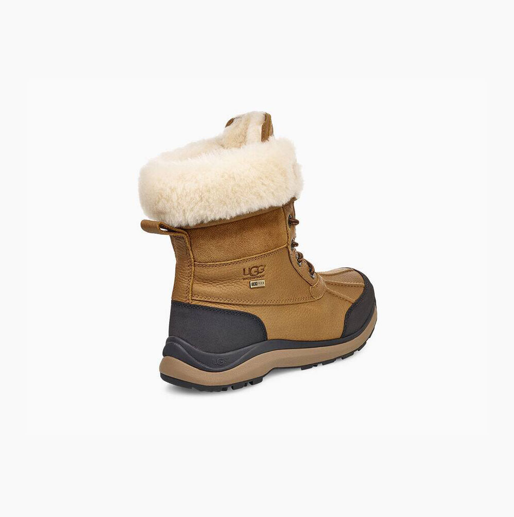 UGG Adirondack III Winterstiefel Damen Braun Schweiz | 3FAN8A76