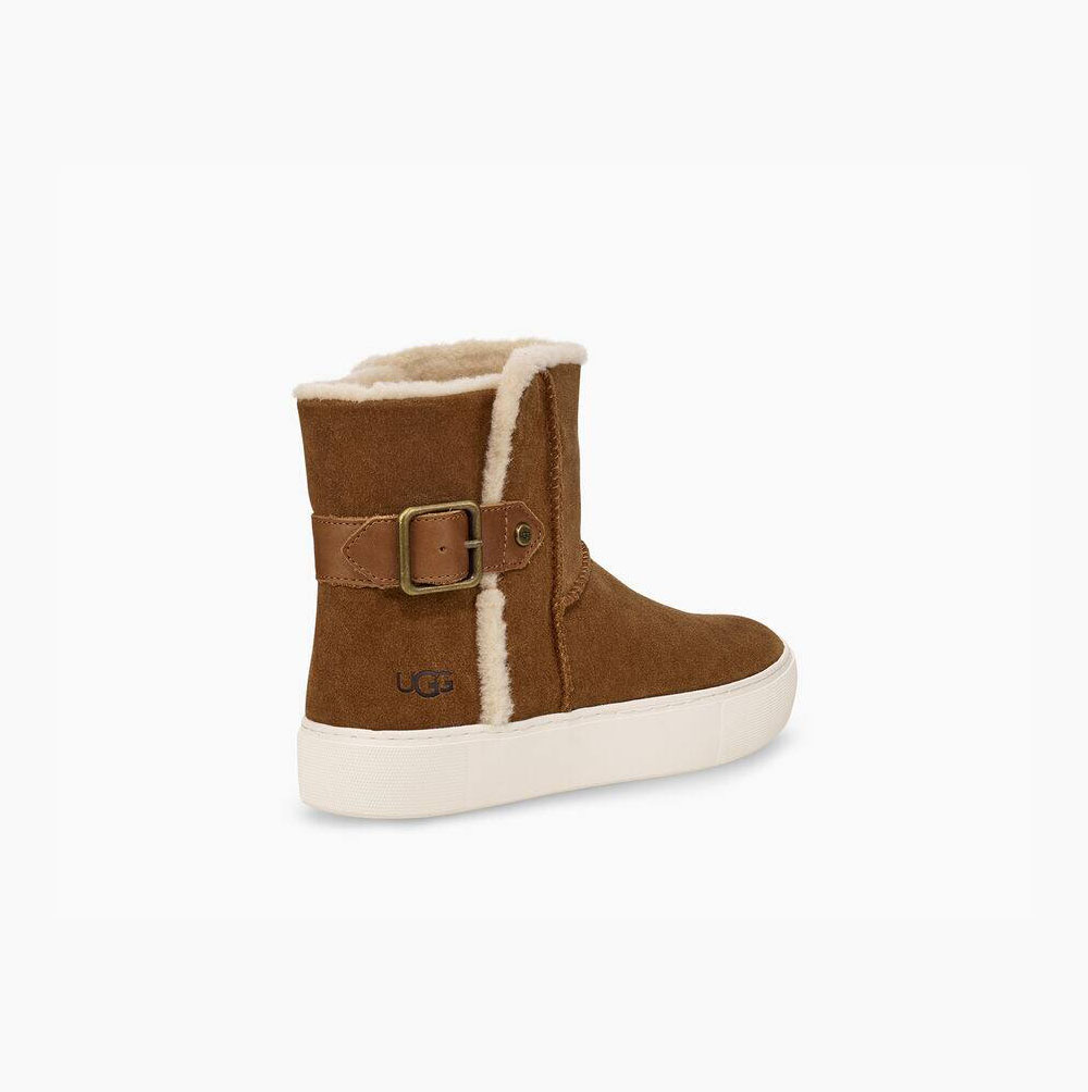 UGG Aika Plateau Stiefel Damen Braun Schweiz | CMFJ6CZS