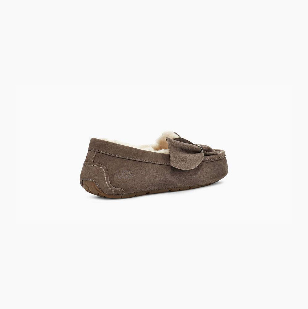 UGG Ansley Twist Loafers Damen Braun Schweiz | QD8BXHWI