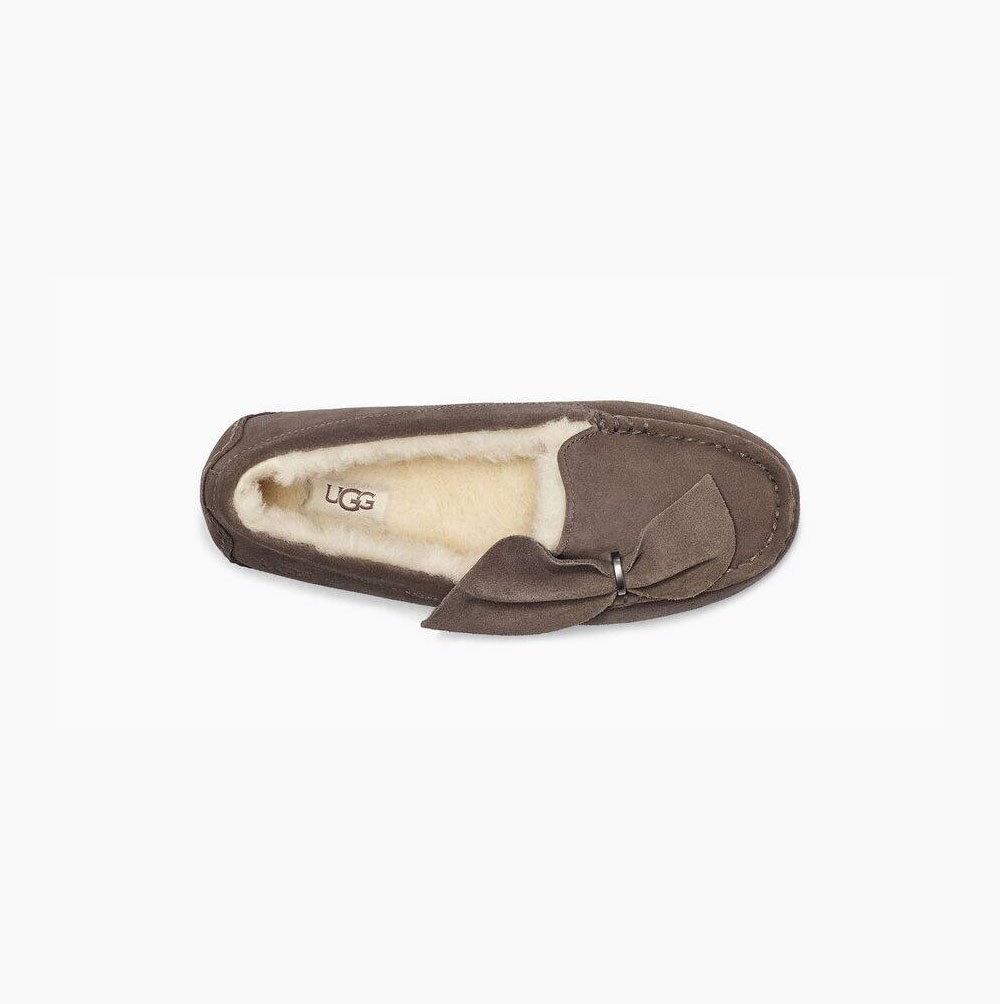 UGG Ansley Twist Loafers Damen Braun Schweiz | QD8BXHWI