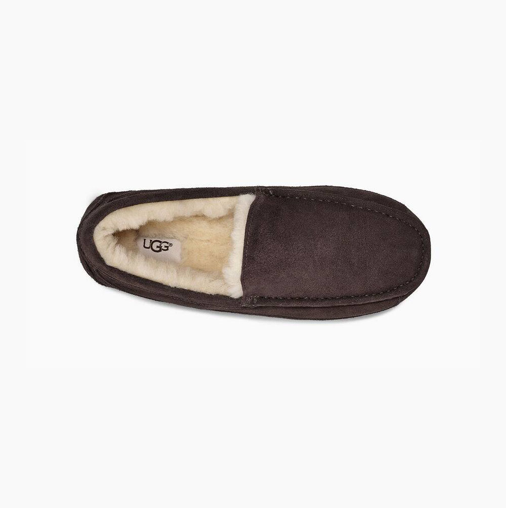 UGG Ascot Loafers Herren Braun Schweiz | 8CQPPTV9