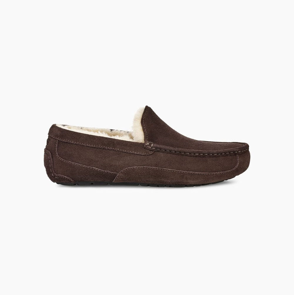 UGG Ascot Loafers Herren Braun Schweiz | 8CQPPTV9