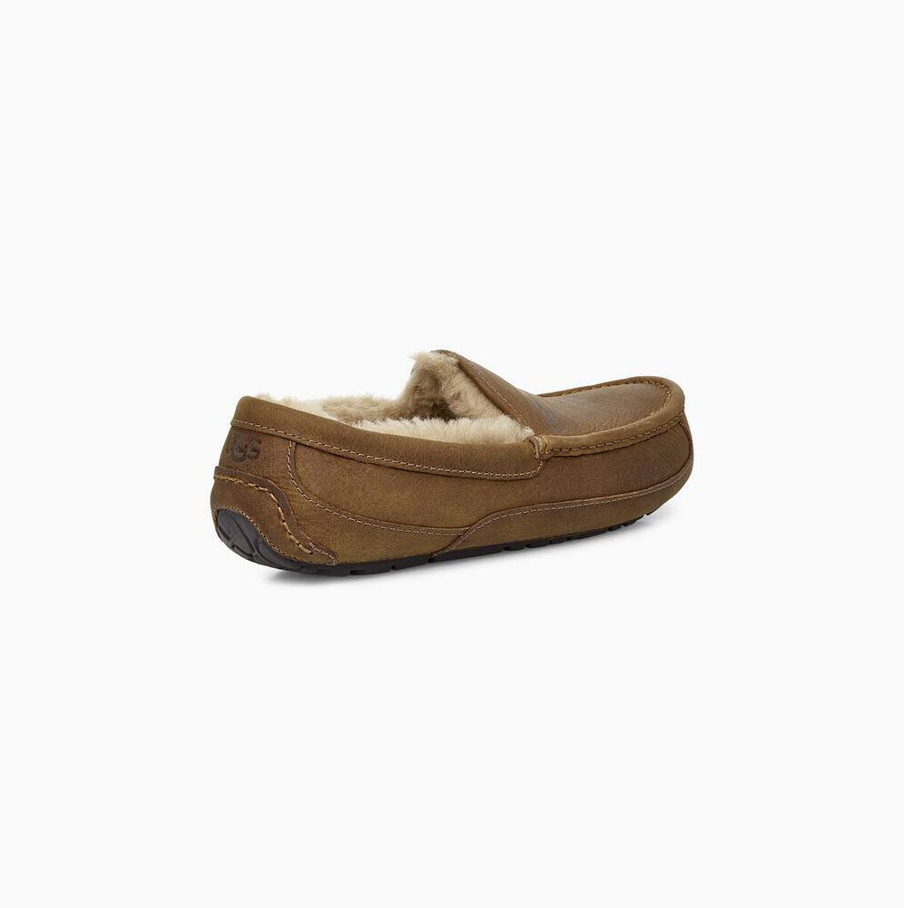 UGG Ascot Loafers Herren Braun Schweiz | H2JDGYZ1