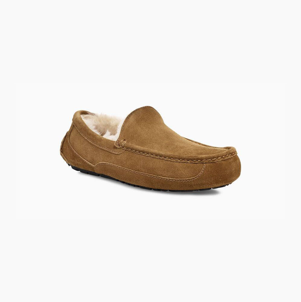 UGG Ascot Loafers Herren Braun Schweiz | QPIW3L73