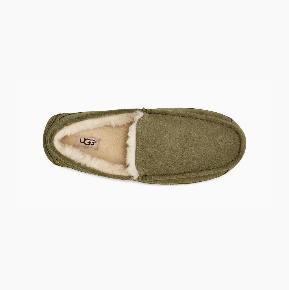 UGG Ascot Loafers Herren Grün Schweiz | 18WPWK3T