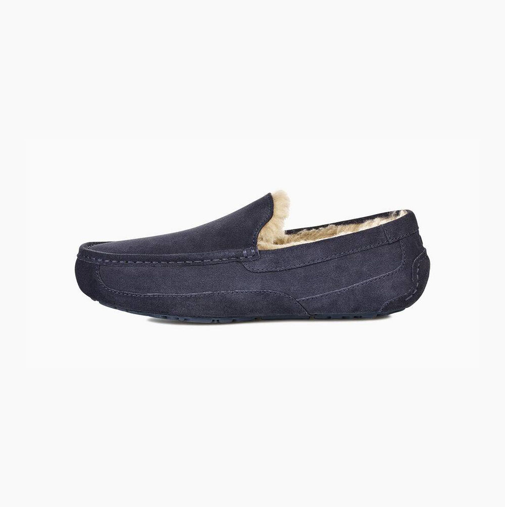 UGG Ascot Loafers Herren Navy Schweiz | 9VR4F373