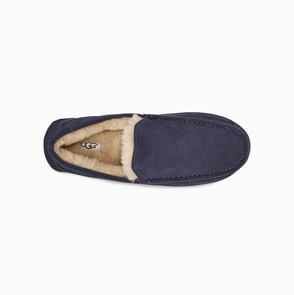 UGG Ascot Loafers Herren Navy Schweiz | 9VR4F373