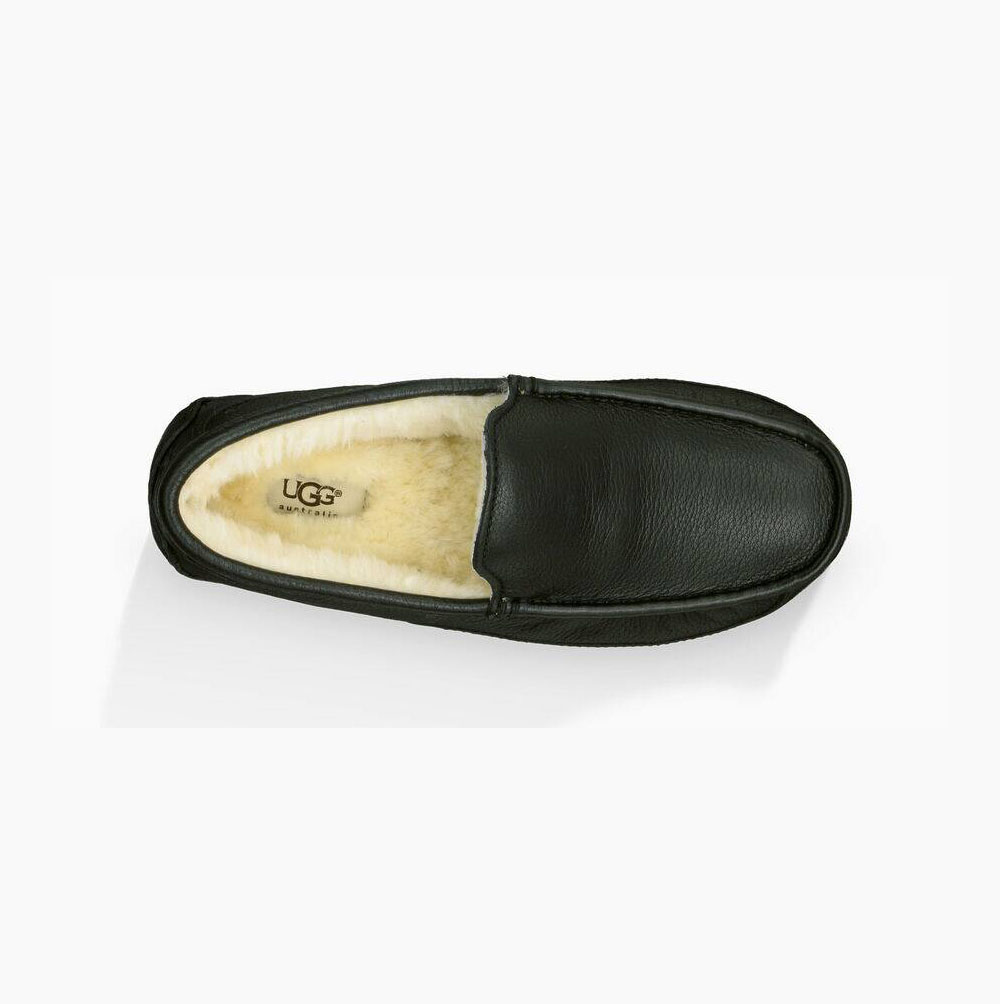 UGG Ascot Loafers Herren Schwarz Schweiz | UB54IWME