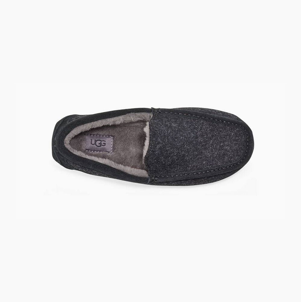 UGG Ascot Wolle Loafers Herren Schwarz Schweiz | 5SX05P3X