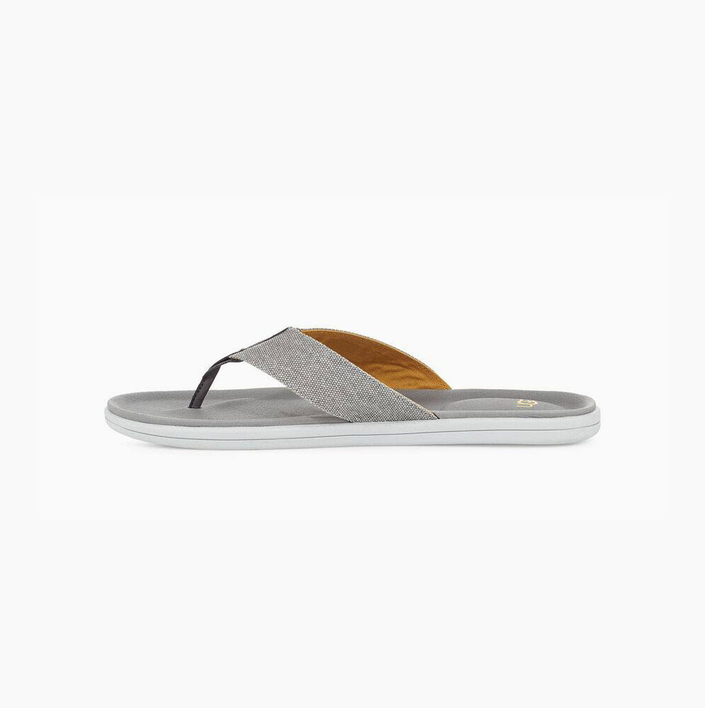 UGG Brookside Flip Canvas Flip Flops Herren Hellblau Schweiz | 5AI1WYVV