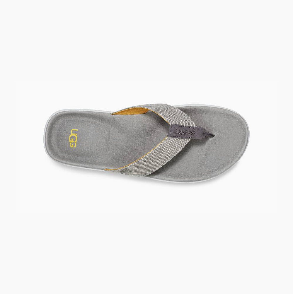 UGG Brookside Flip Canvas Flip Flops Herren Hellblau Schweiz | 5AI1WYVV