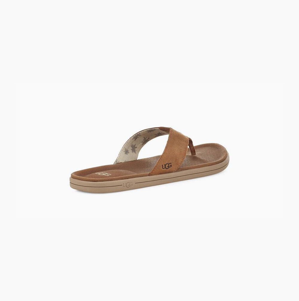 UGG Brookside Flip Flip Flops Herren Braun Schweiz | 04Q5C1YQ