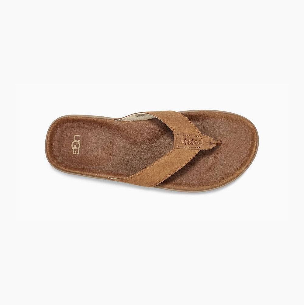 UGG Brookside Flip Flip Flops Herren Braun Schweiz | 04Q5C1YQ