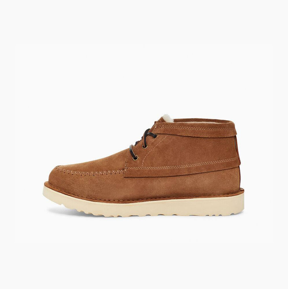 UGG Campout Chukka Schnürstiefel Herren Braun Schweiz | 3AC6WSPQ