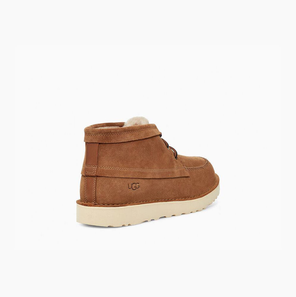 UGG Campout Chukka Schnürstiefel Herren Braun Schweiz | 3AC6WSPQ