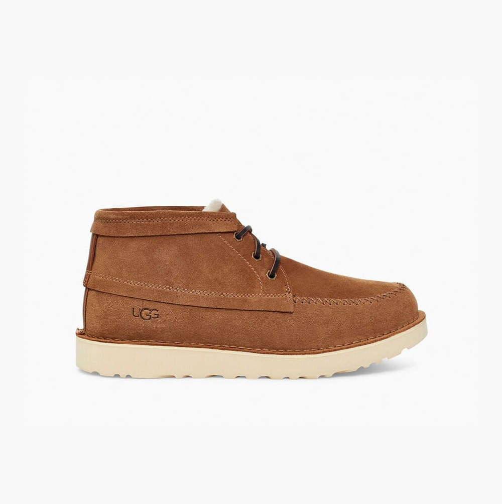 UGG Campout Chukka Schnürstiefel Herren Braun Schweiz | 3AC6WSPQ