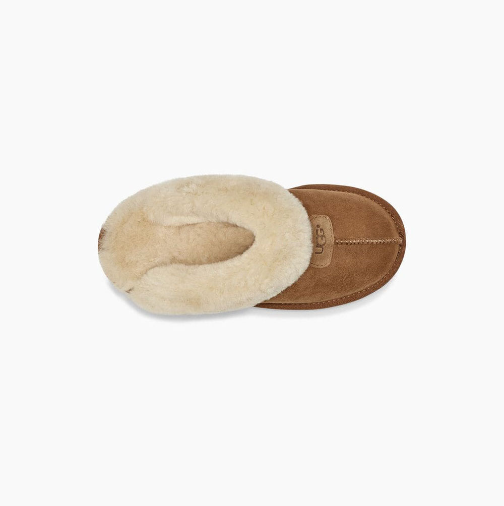 UGG Coquette Hausschuhe Damen Braun Schweiz | UVOCOWA3