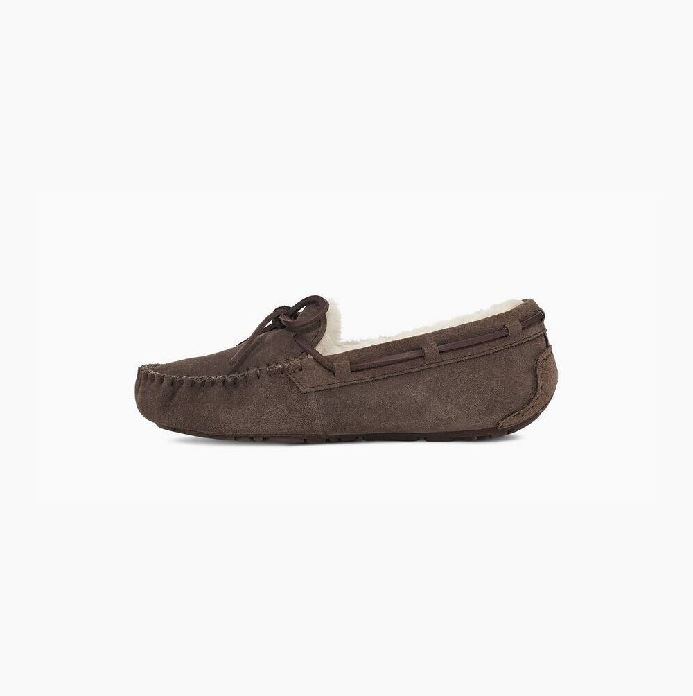 UGG Dakota Loafers Damen Braun Schweiz | H9N1ZGFA