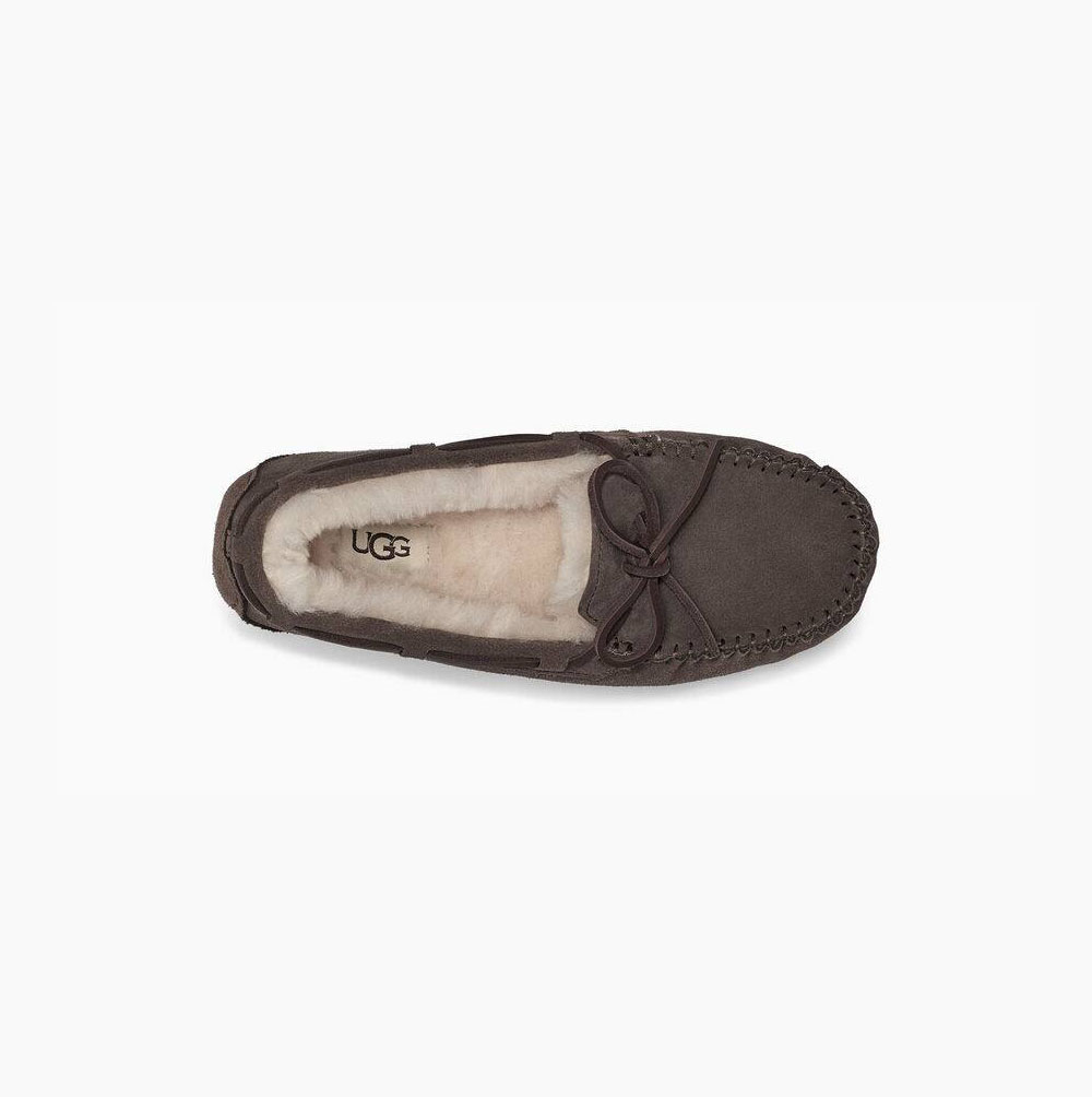 UGG Dakota Loafers Damen Braun Schweiz | H9N1ZGFA