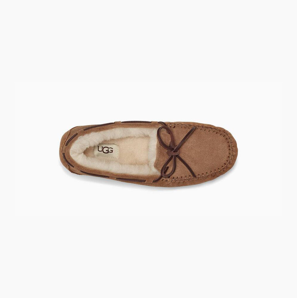 UGG Dakota Loafers Damen Braun Schweiz | S7NUHQ0U