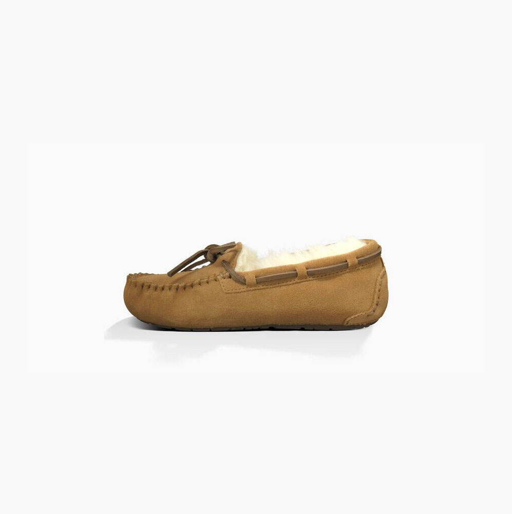 UGG Dakota Loafers Kinder Braun Schweiz | V0RQSJQP