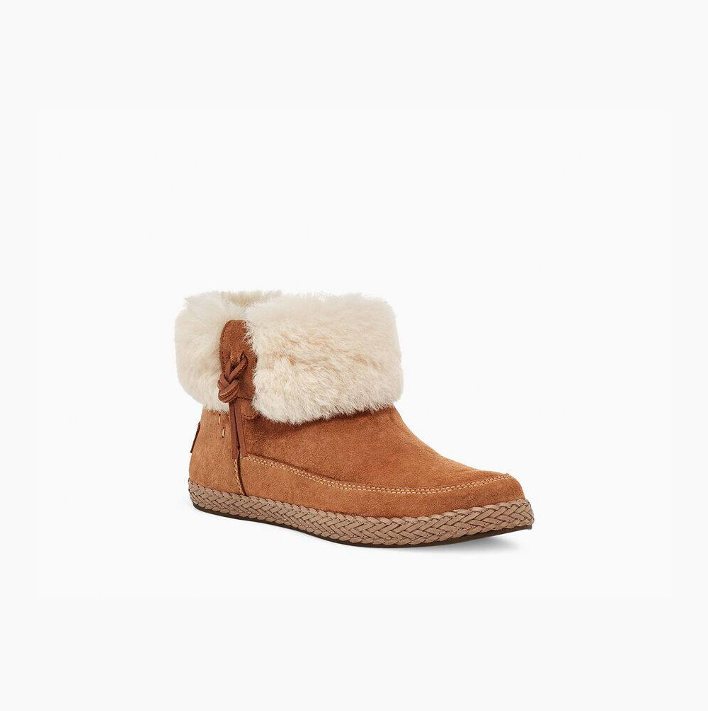 UGG Elowen Winterstiefel Damen Braun Schweiz | NWM0QBFU