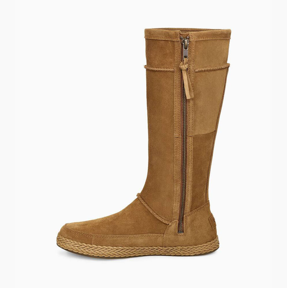 UGG Emerie Hohe Knee High Boots Damen Braun Schweiz | 1EPQETFX