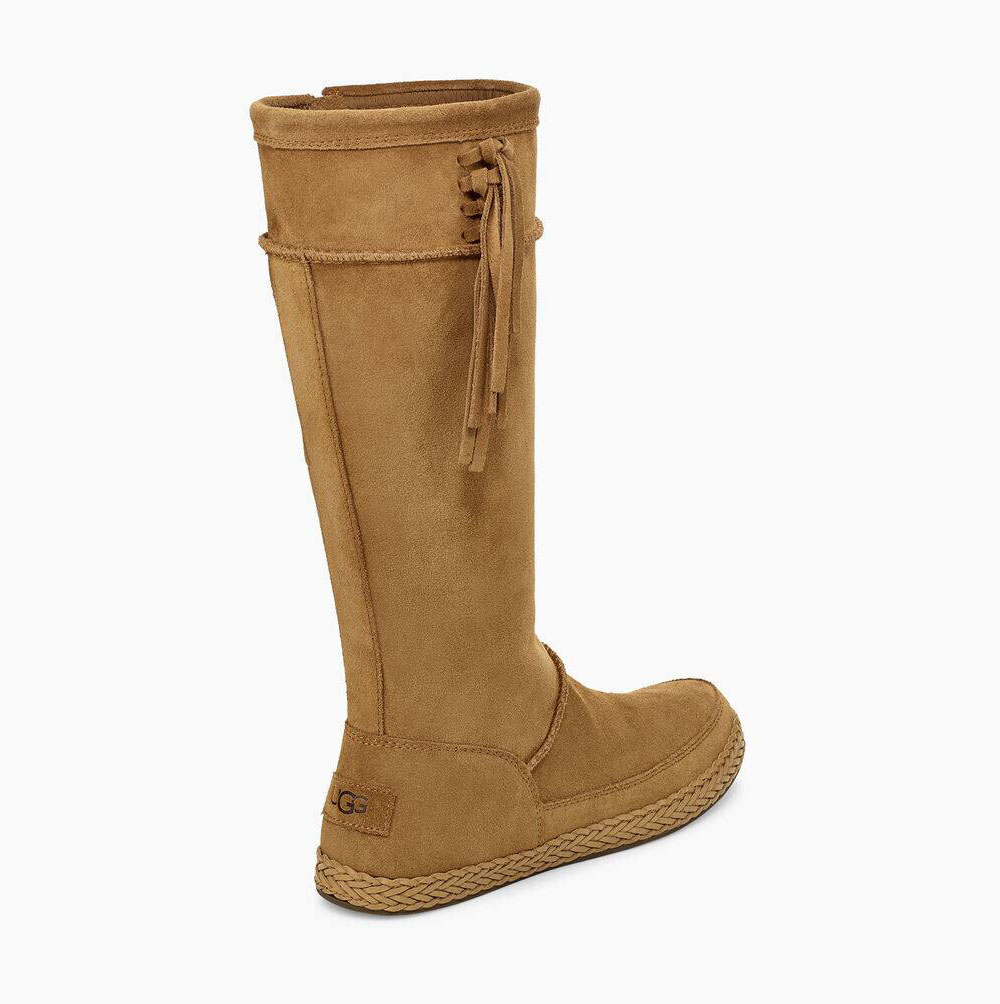 UGG Emerie Hohe Knee High Boots Damen Braun Schweiz | 1EPQETFX