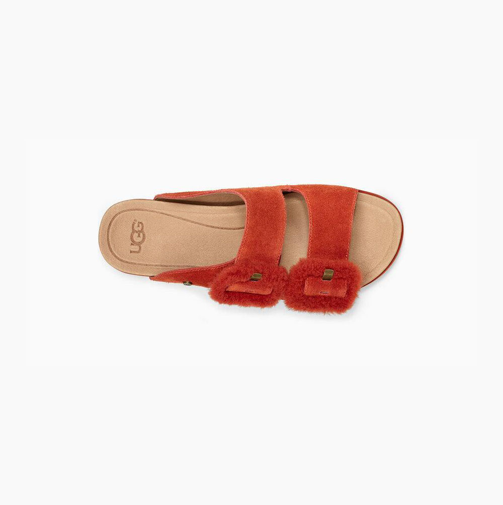 UGG Fluff Indio Sandalen Damen Rot Schweiz | 3Y0SGU9T