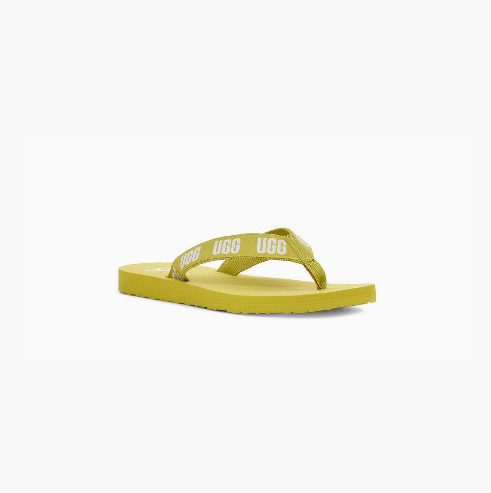 UGG Graphic Flip Flops Damen Hellgrün Schweiz | AKY6IDGV