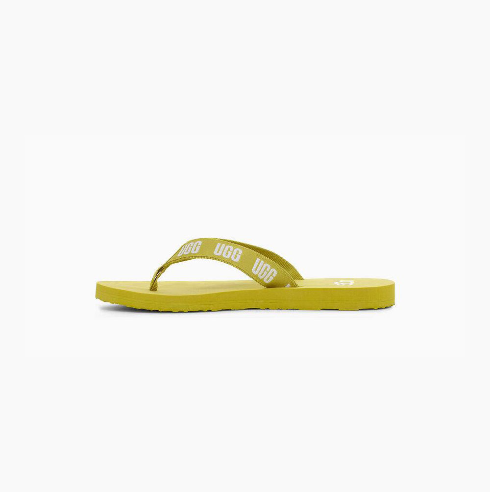 UGG Graphic Flip Flops Damen Hellgrün Schweiz | AKY6IDGV