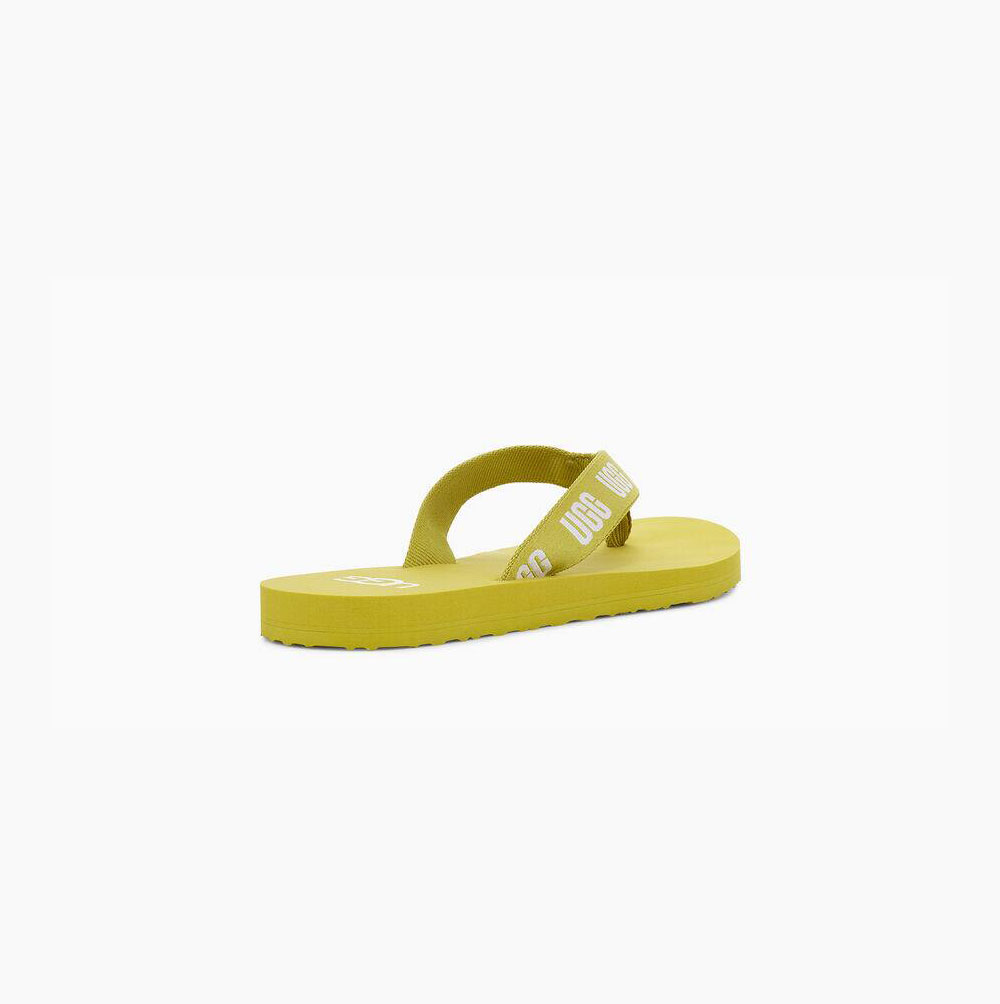 UGG Graphic Flip Flops Damen Hellgrün Schweiz | AKY6IDGV