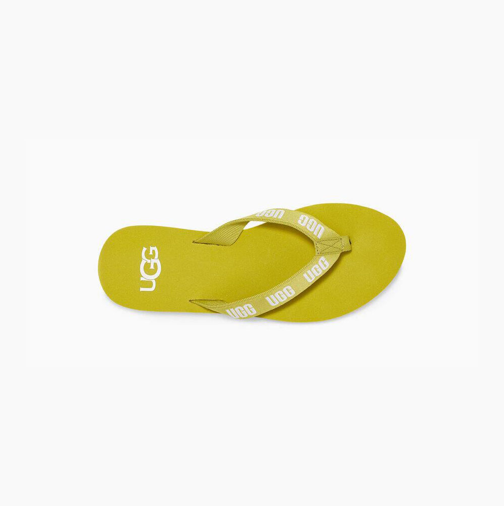 UGG Graphic Flip Flops Damen Hellgrün Schweiz | AKY6IDGV