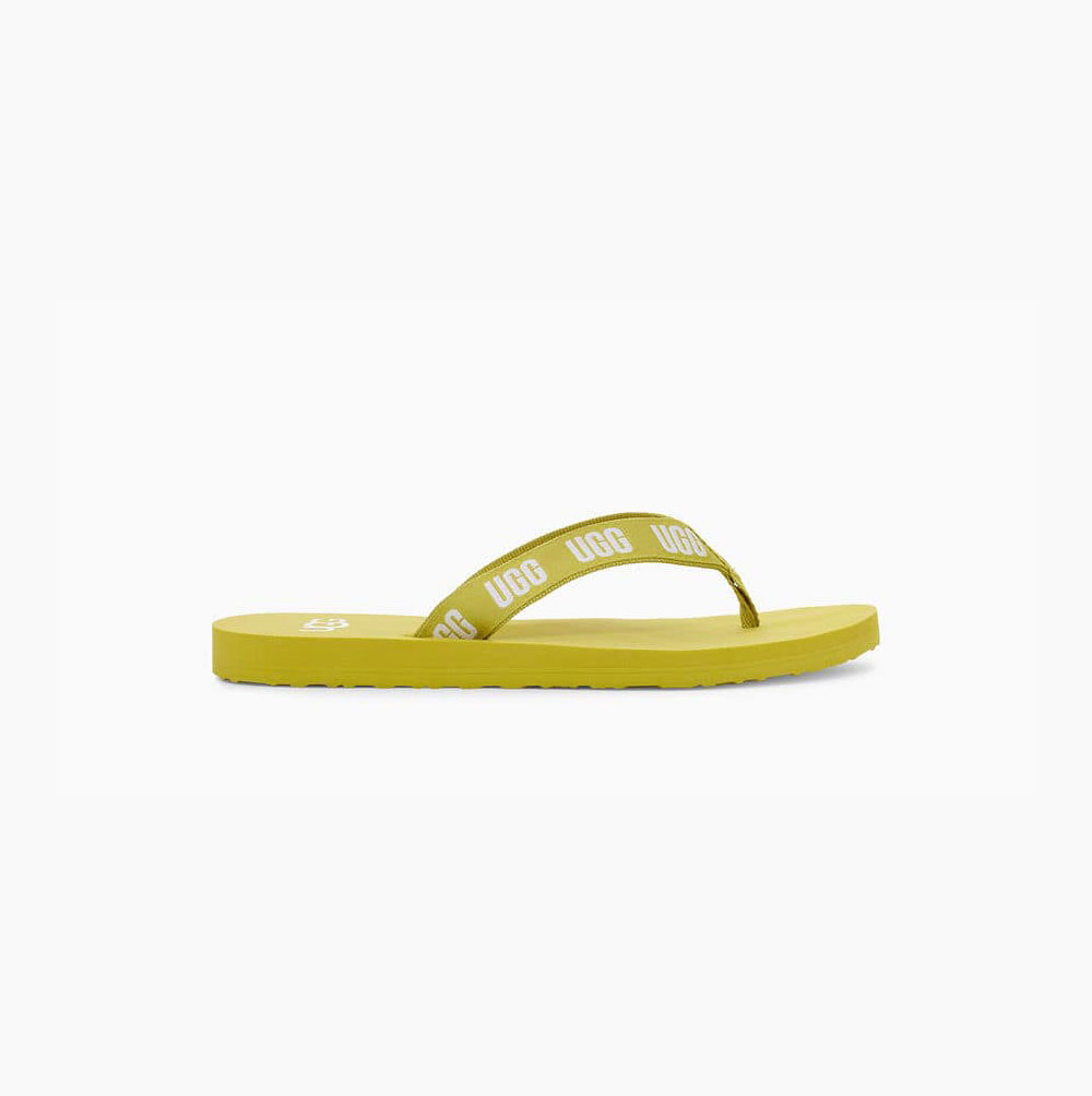 UGG Graphic Flip Flops Damen Hellgrün Schweiz | AKY6IDGV