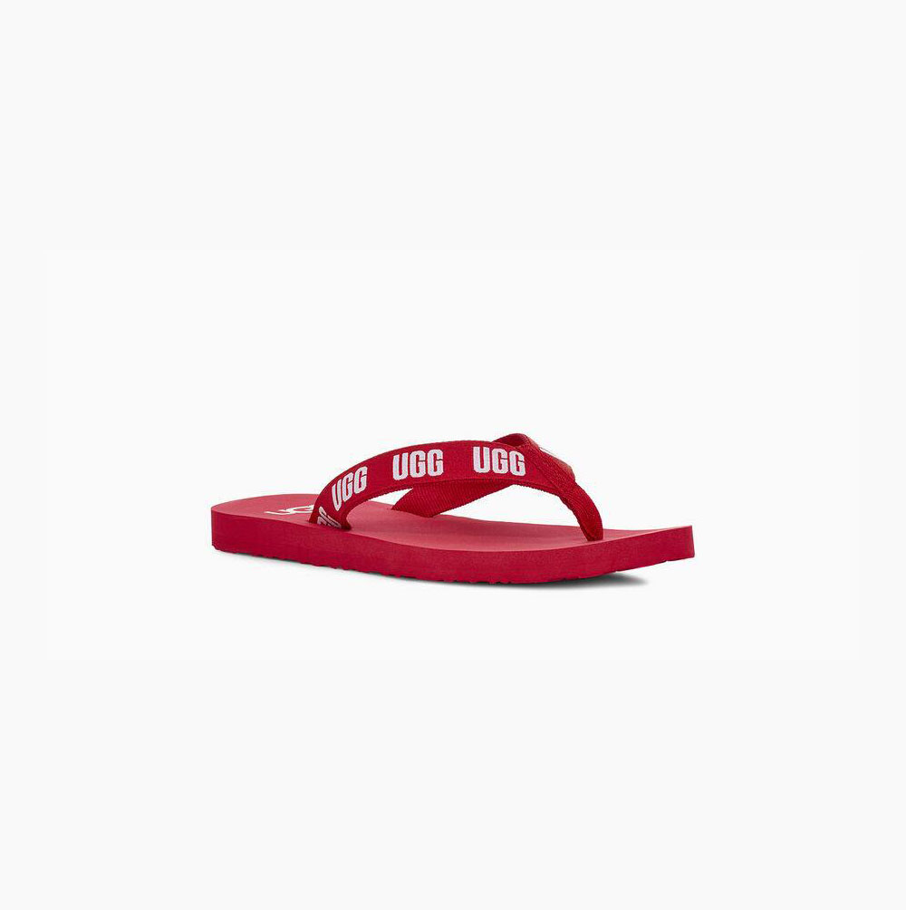 UGG Graphic Flip Flops Damen Rot Schweiz | RHTU9XWX