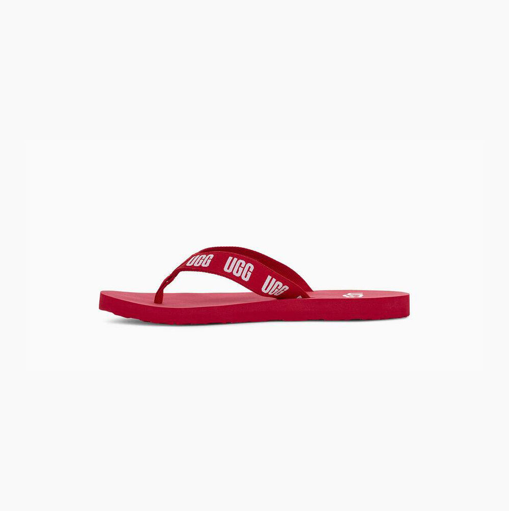 UGG Graphic Flip Flops Damen Rot Schweiz | RHTU9XWX