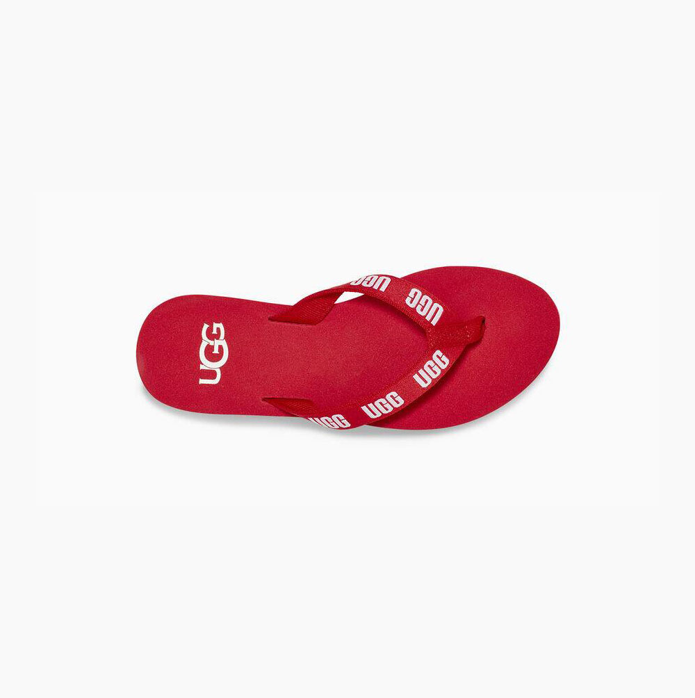 UGG Graphic Flip Flops Damen Rot Schweiz | RHTU9XWX