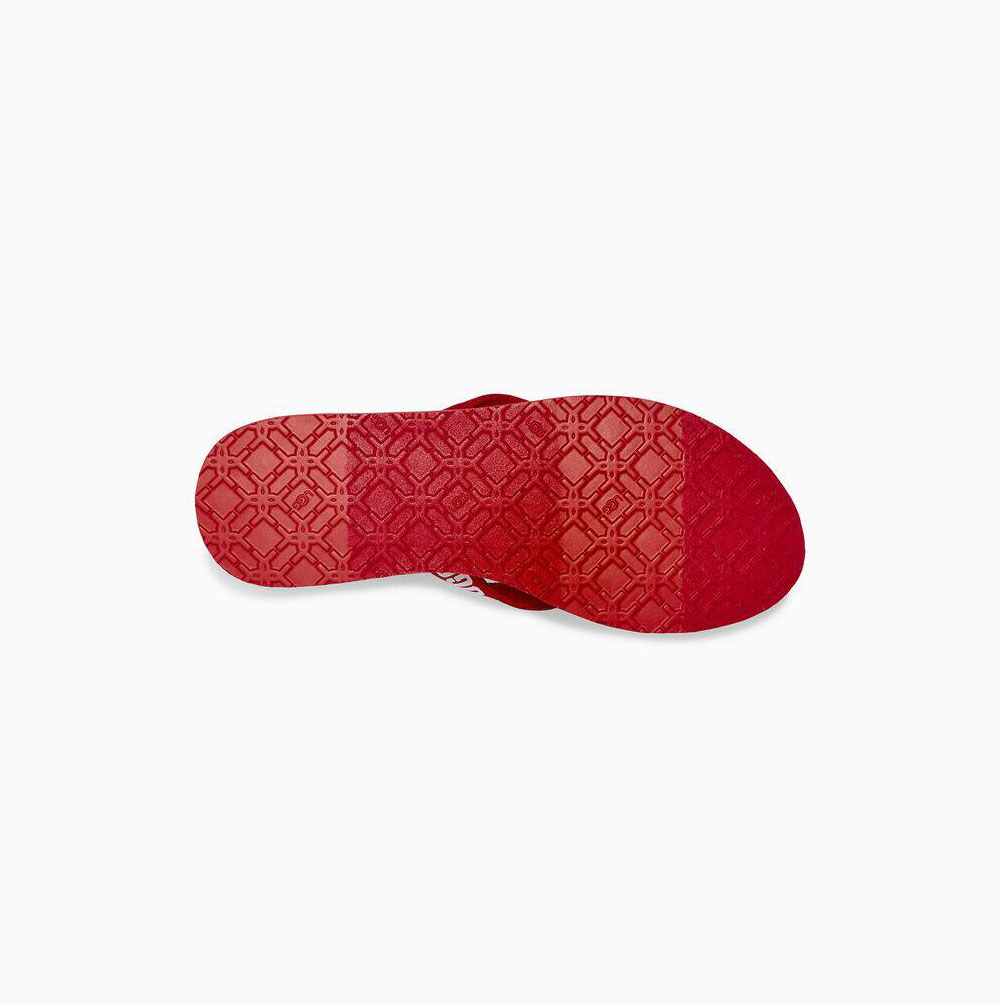 UGG Graphic Flip Flops Damen Rot Schweiz | RHTU9XWX