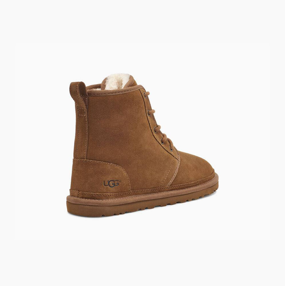 UGG Harkley Schnürstiefel Herren Braun Schweiz | LZE3XEFU