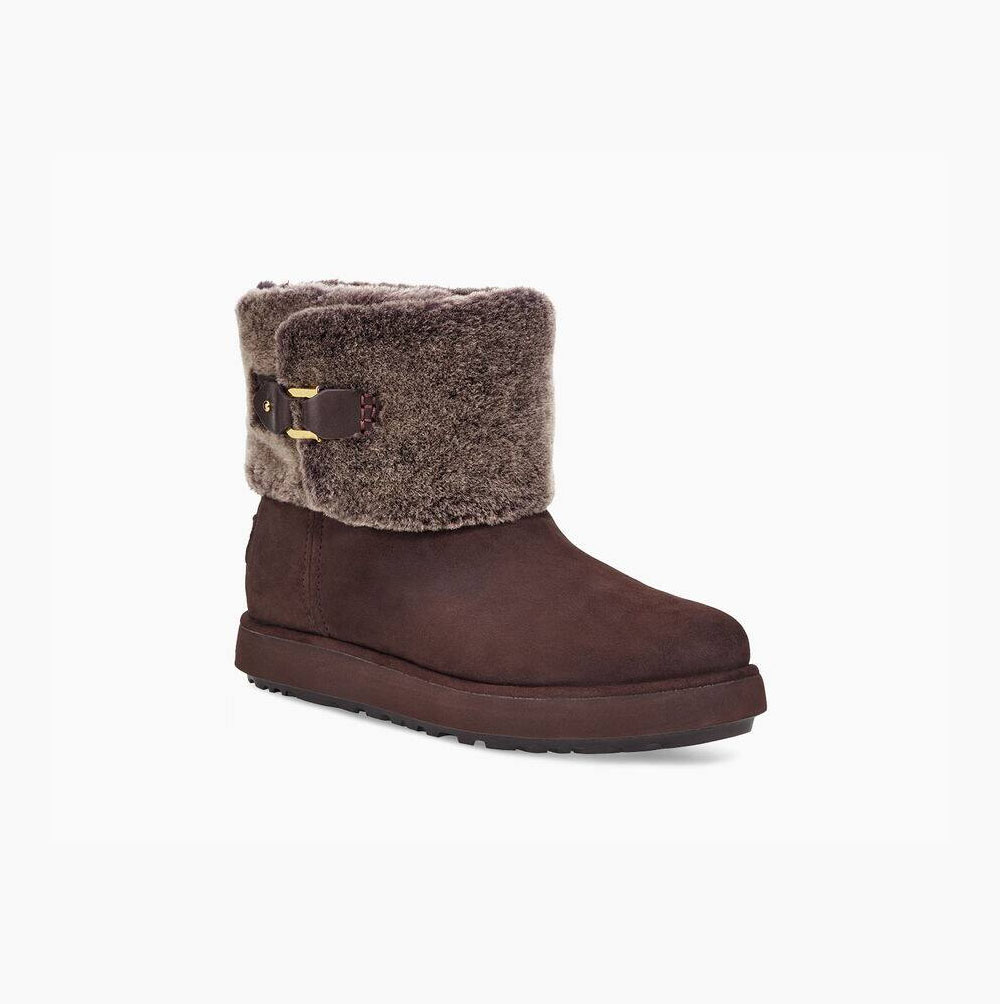 UGG Klassische Berge Mini Wildleder Mini Boots Damen Kupfer Schweiz | K9Y6W2WZ