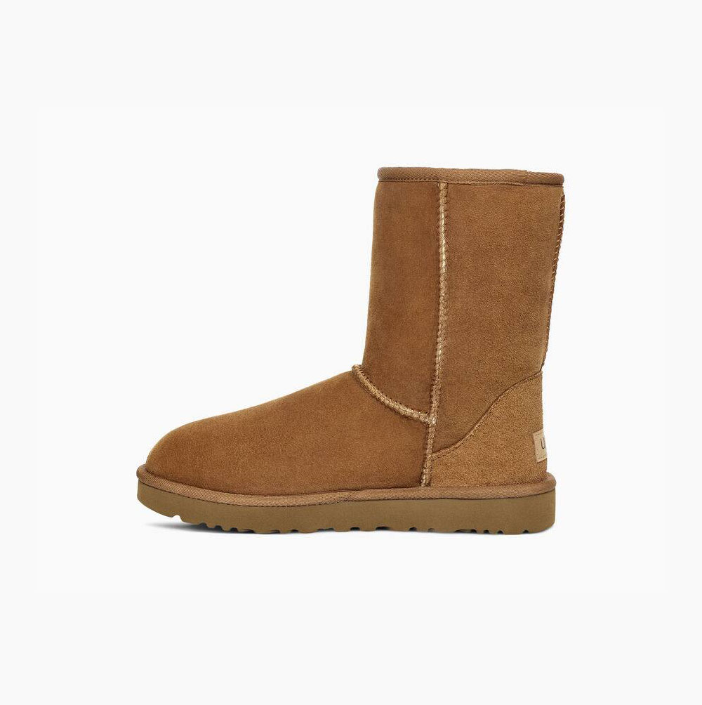 UGG Klassische II Kurze Stiefel Damen Braun Schweiz | QZ29O4L1