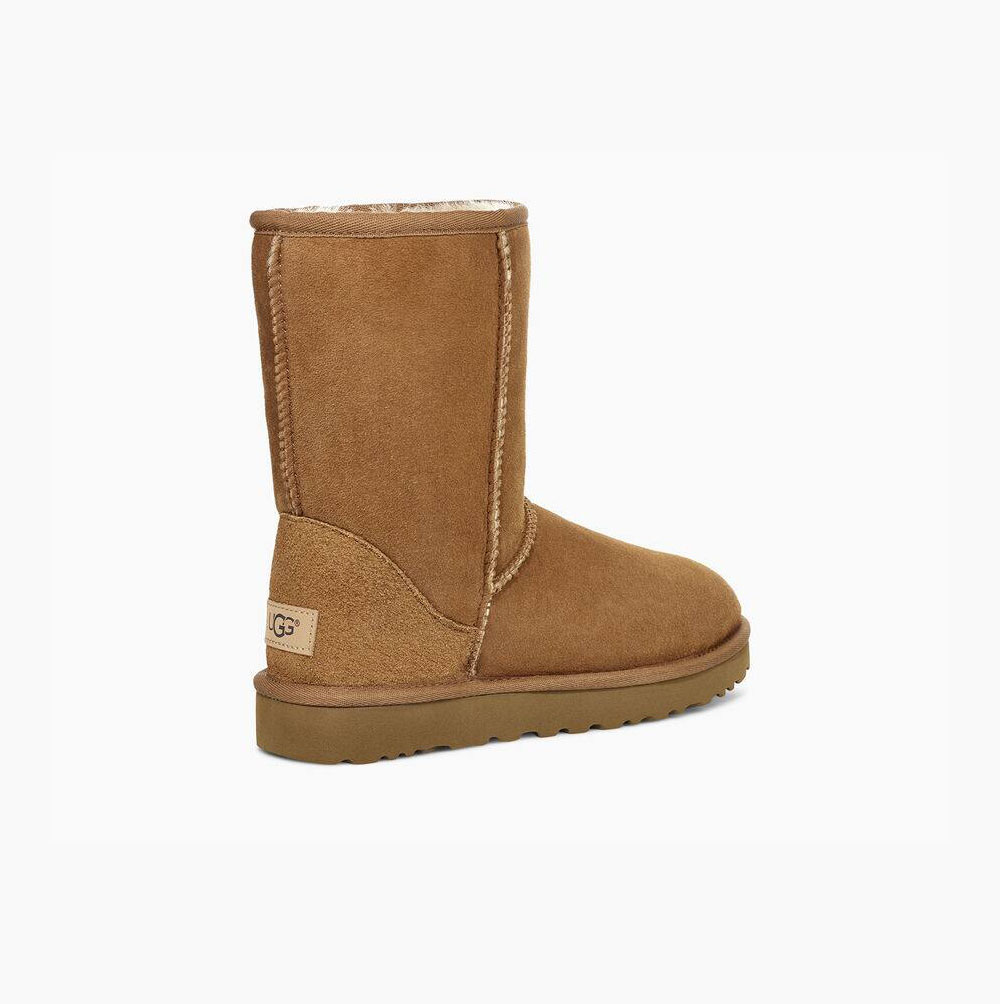 UGG Klassische II Kurze Stiefel Damen Braun Schweiz | QZ29O4L1