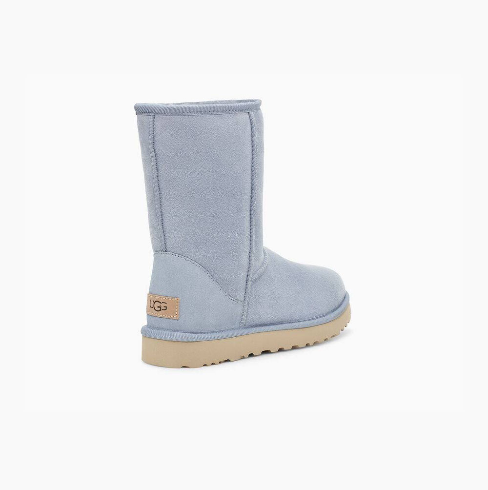 UGG Klassische II Kurze Stiefel Damen Hellblau Schweiz | FR61GPQS