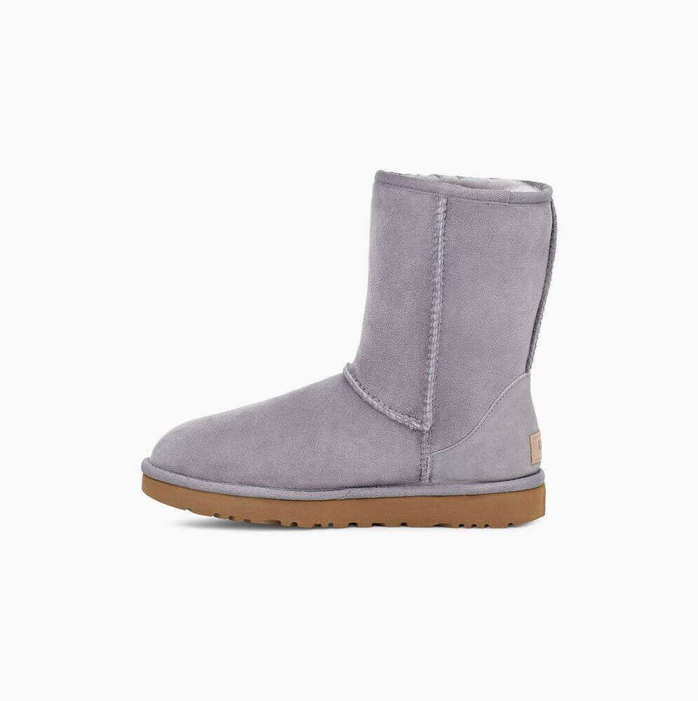 UGG Klassische II Kurze Stiefel Damen Navy Schweiz | YK7QGSNS