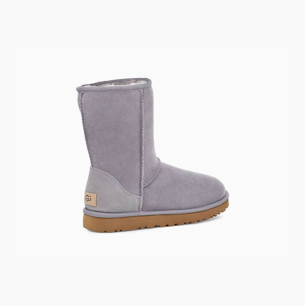 UGG Klassische II Kurze Stiefel Damen Navy Schweiz | YK7QGSNS