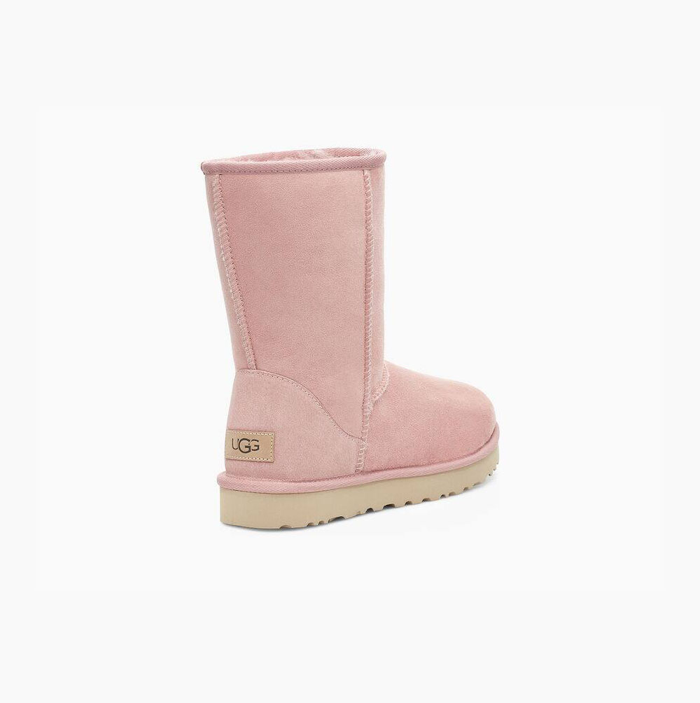 UGG Klassische II Kurze Stiefel Damen Rosa Schweiz | 2N4QYM5J