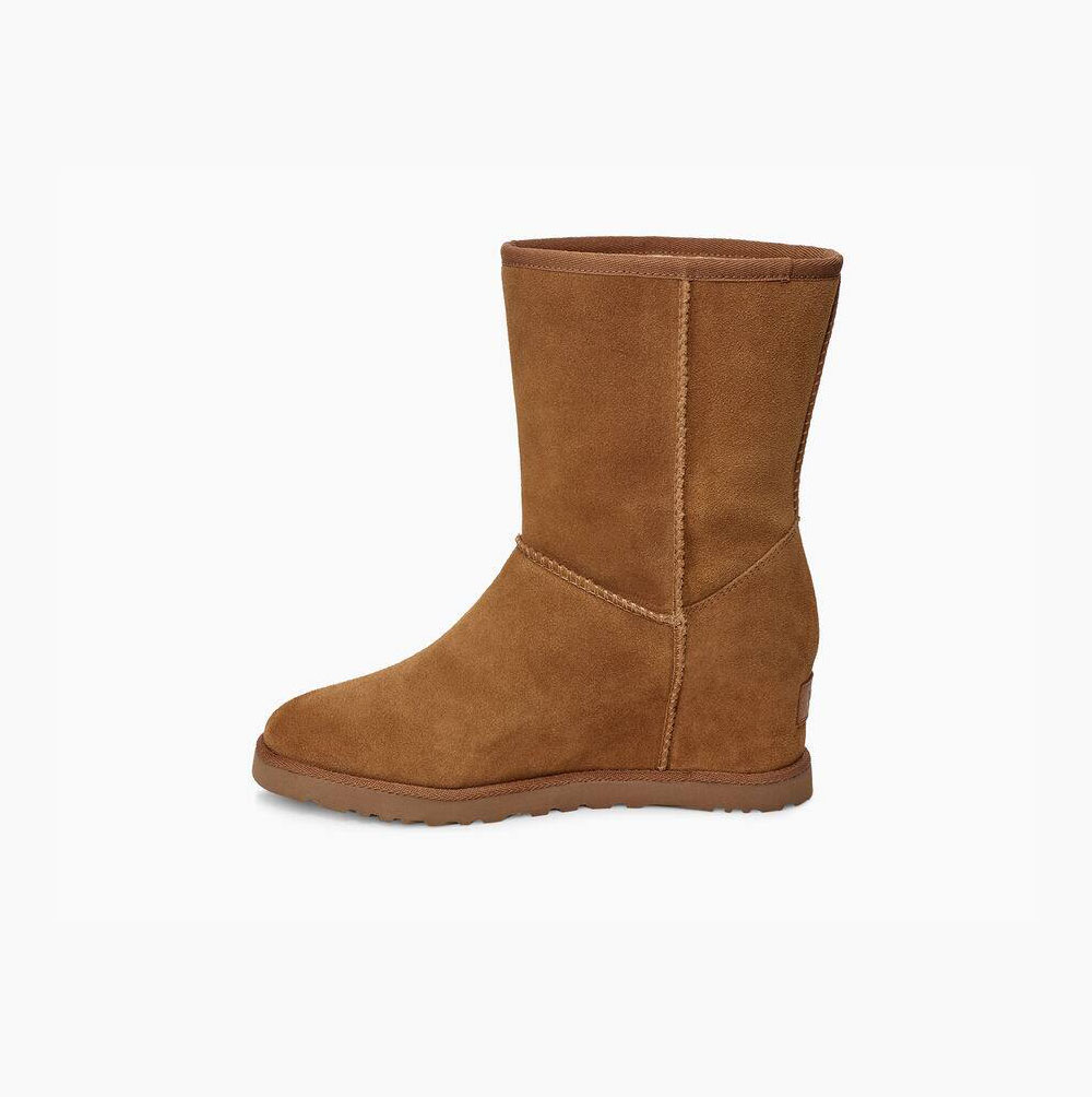 UGG Klassische Kurze Stiefel Damen Braun Schweiz | W9BO5NHV