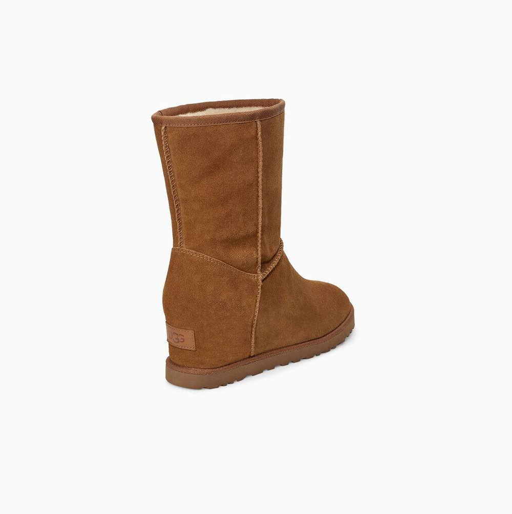 UGG Klassische Kurze Stiefel Damen Braun Schweiz | W9BO5NHV