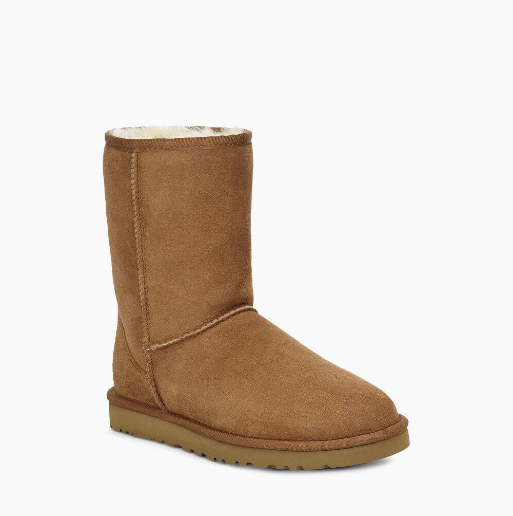 UGG Klassische Kurze Stiefel Herren Braun Schweiz | 0Q8DWLSR