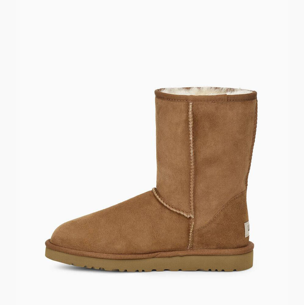 UGG Klassische Kurze Stiefel Herren Braun Schweiz | 0Q8DWLSR